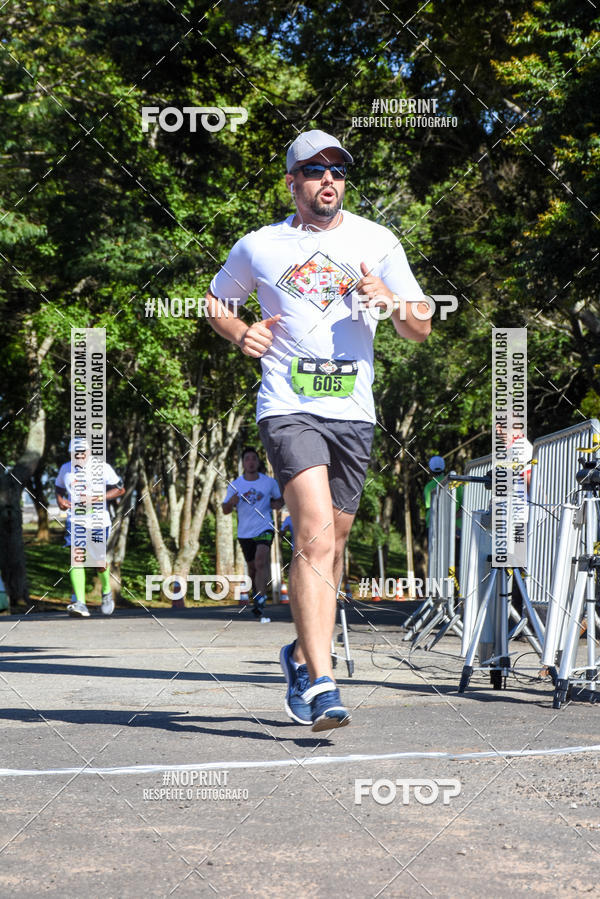 Buy your photos of the eventVibe Run on Fotop