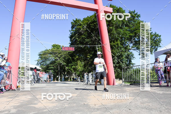 Buy your photos of the eventVibe Run on Fotop