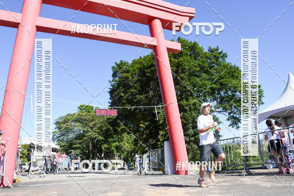 Buy your photos of the eventVibe Run on Fotop