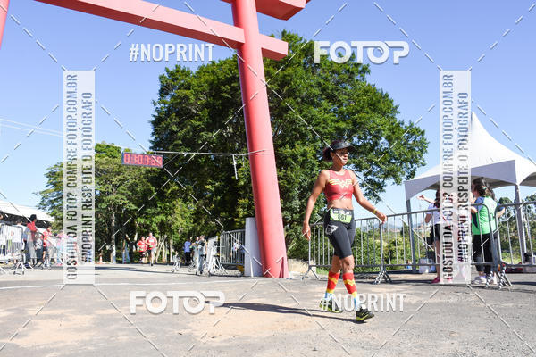 Buy your photos of the eventVibe Run on Fotop