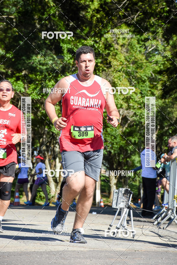 Buy your photos of the eventVibe Run on Fotop