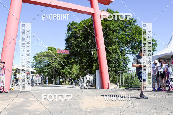 Buy your photos of the eventVibe Run on Fotop