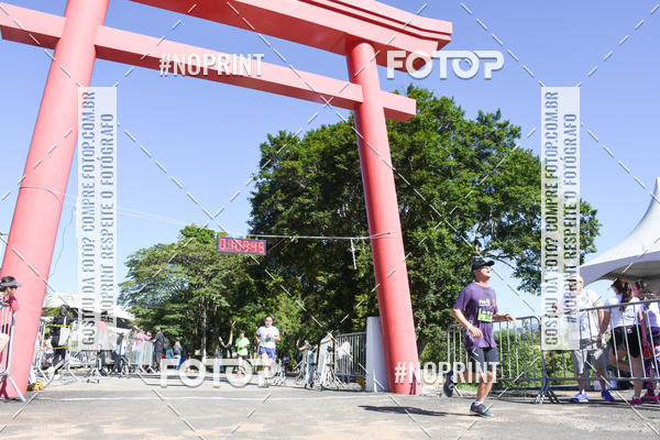 Buy your photos of the eventVibe Run on Fotop