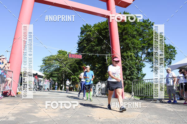 Buy your photos of the eventVibe Run on Fotop