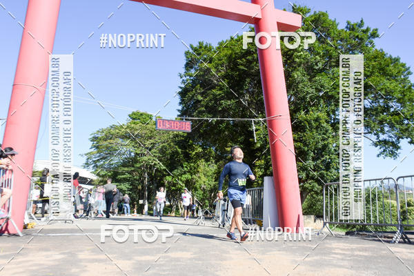 Buy your photos of the eventVibe Run on Fotop