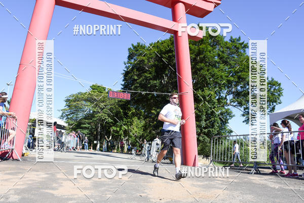 Buy your photos of the eventVibe Run on Fotop