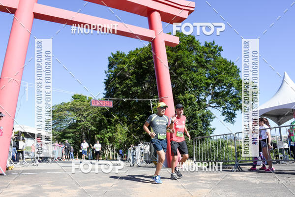 Buy your photos of the eventVibe Run on Fotop