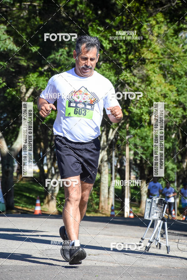 Buy your photos of the eventVibe Run on Fotop