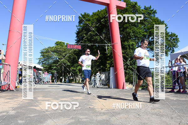 Buy your photos of the eventVibe Run on Fotop