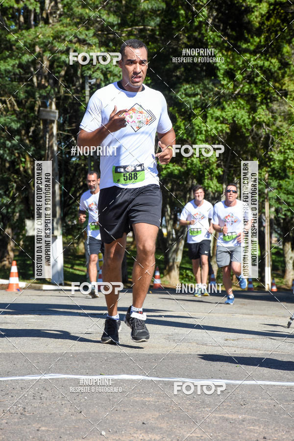 Buy your photos of the eventVibe Run on Fotop