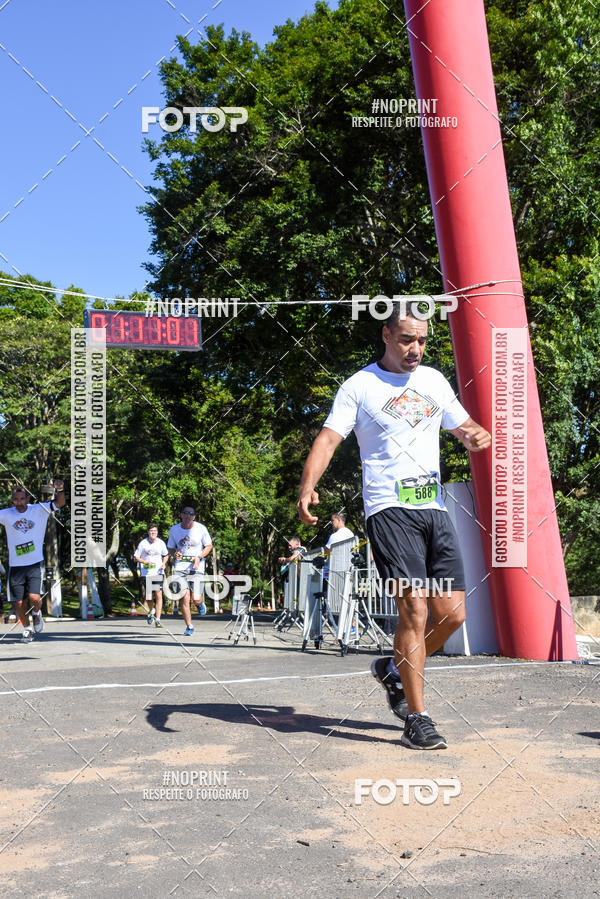 Buy your photos of the eventVibe Run on Fotop