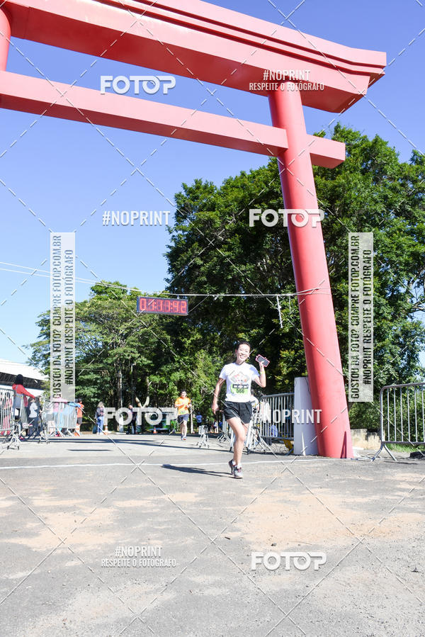 Buy your photos of the eventVibe Run on Fotop