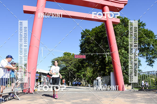 Buy your photos of the eventVibe Run on Fotop