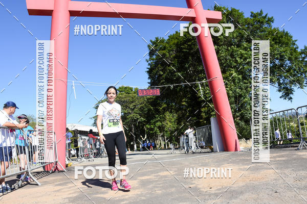 Buy your photos of the eventVibe Run on Fotop