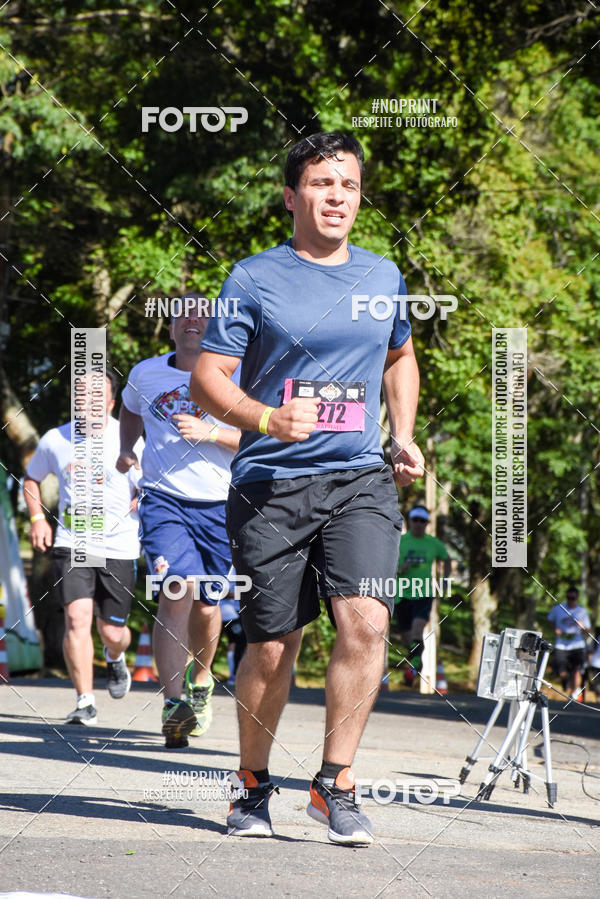 Buy your photos of the eventVibe Run on Fotop