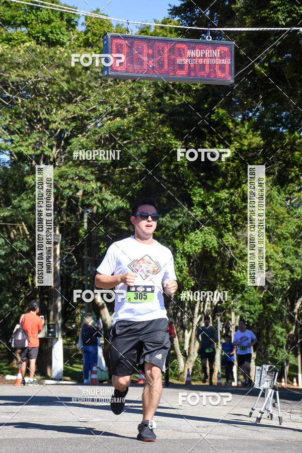 Buy your photos of the eventVibe Run on Fotop