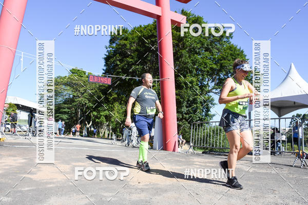 Buy your photos of the eventVibe Run on Fotop