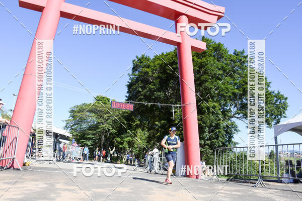 Buy your photos of the eventVibe Run on Fotop