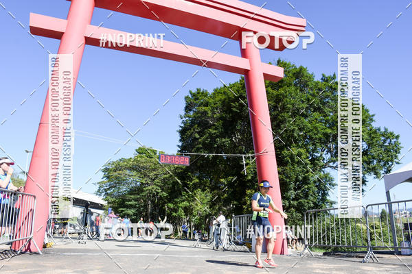 Buy your photos of the eventVibe Run on Fotop