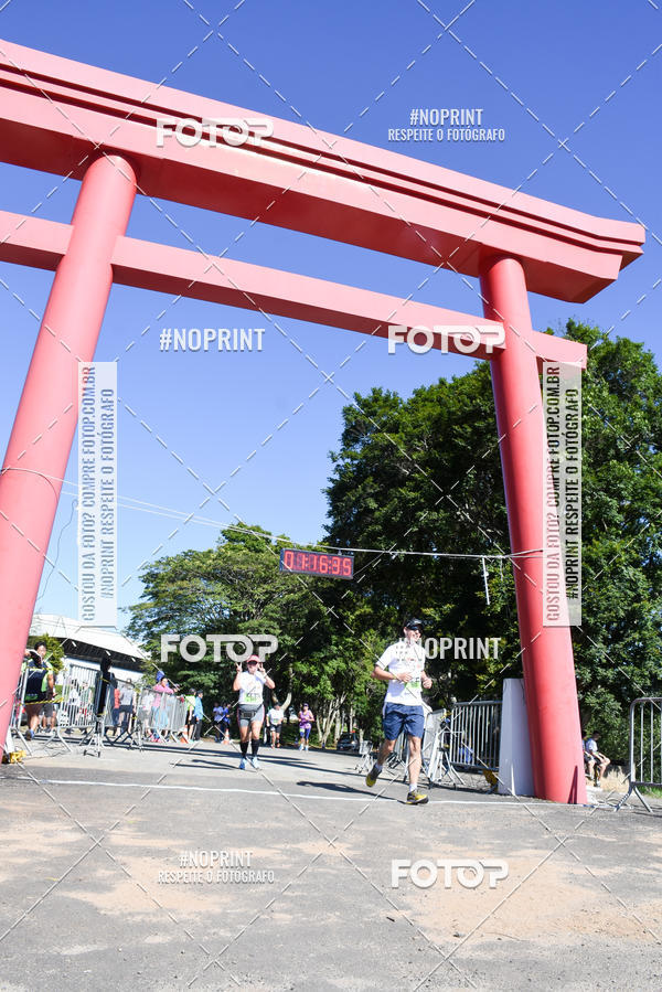 Buy your photos of the eventVibe Run on Fotop