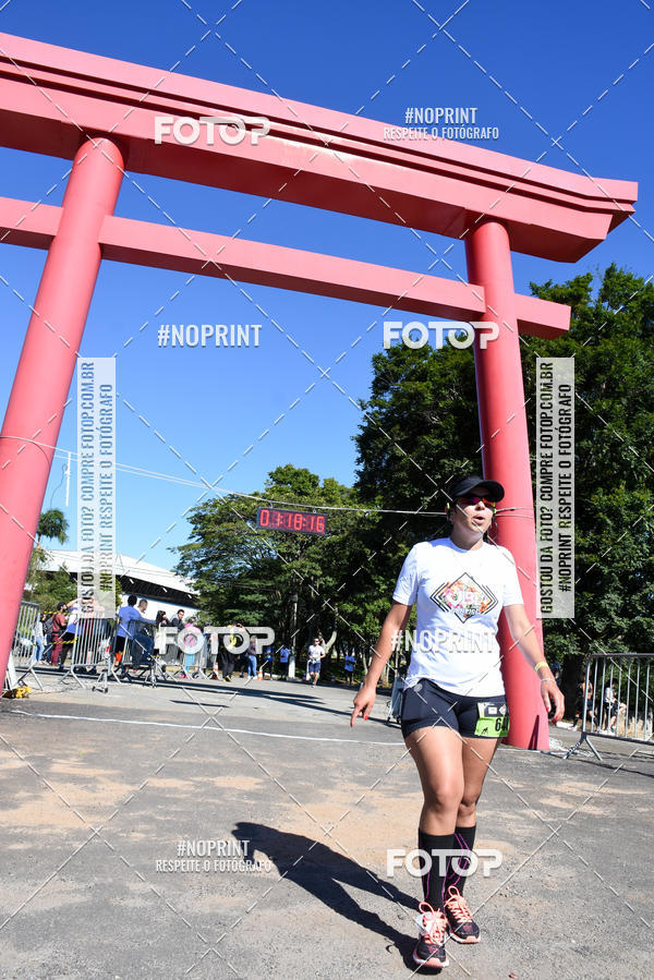 Buy your photos of the eventVibe Run on Fotop