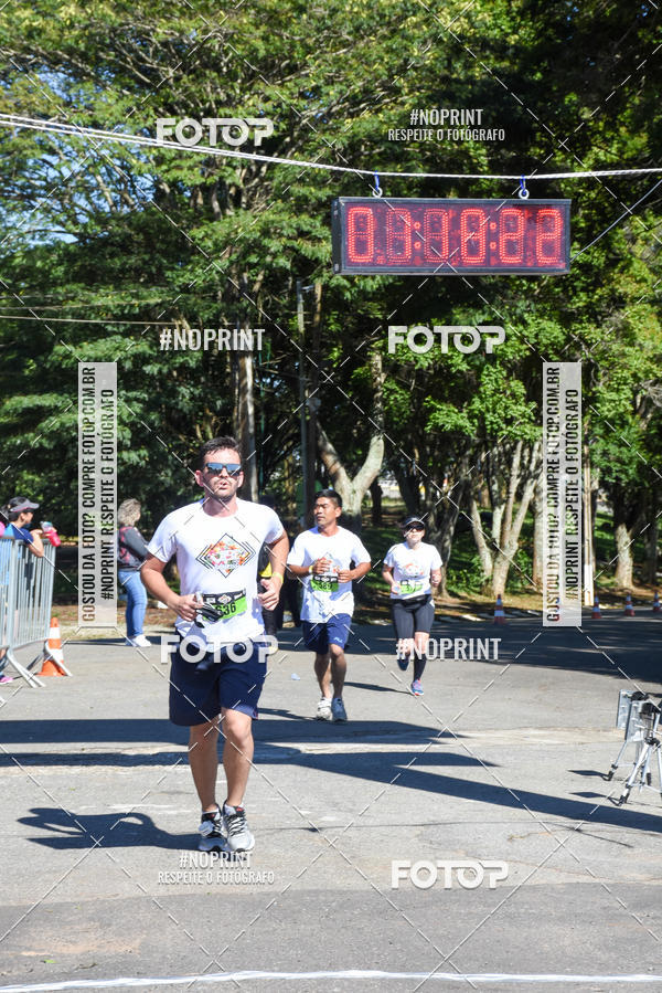 Buy your photos of the eventVibe Run on Fotop