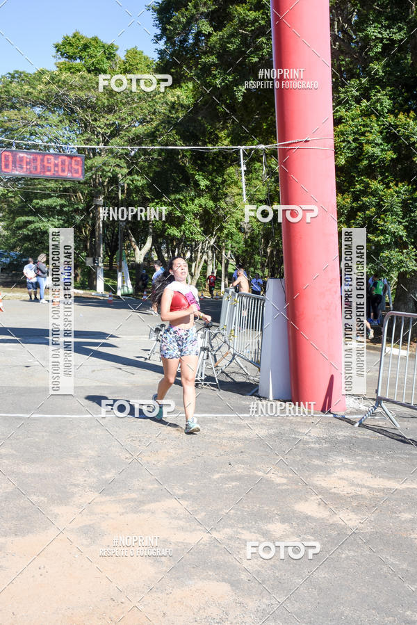 Buy your photos of the eventVibe Run on Fotop