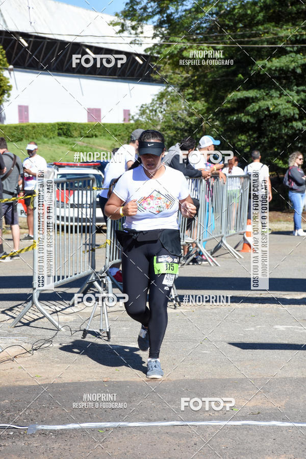 Buy your photos of the eventVibe Run on Fotop