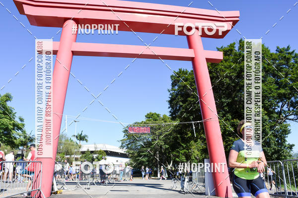 Buy your photos of the eventVibe Run on Fotop