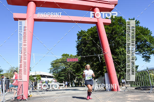 Buy your photos of the eventVibe Run on Fotop