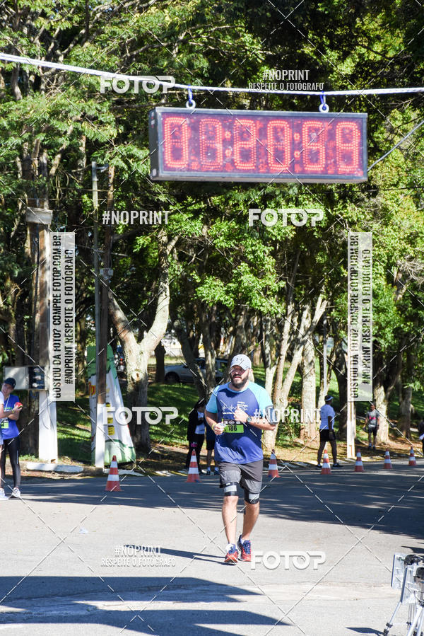 Buy your photos of the eventVibe Run on Fotop