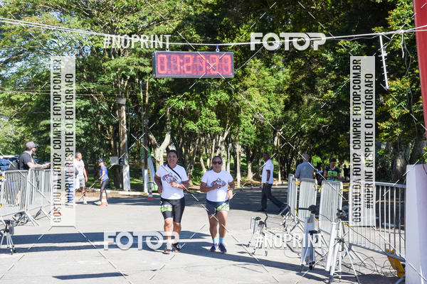 Buy your photos of the eventVibe Run on Fotop