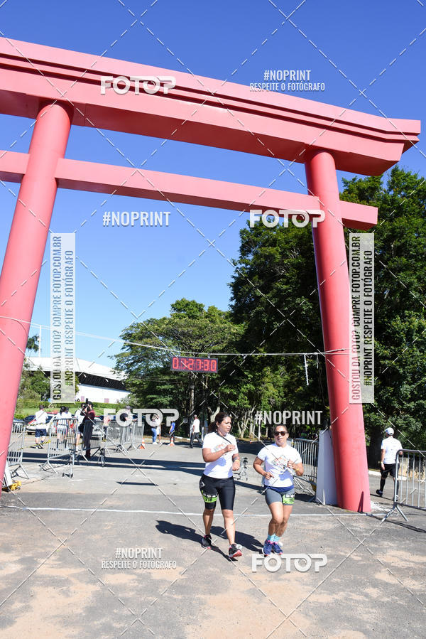 Buy your photos of the eventVibe Run on Fotop