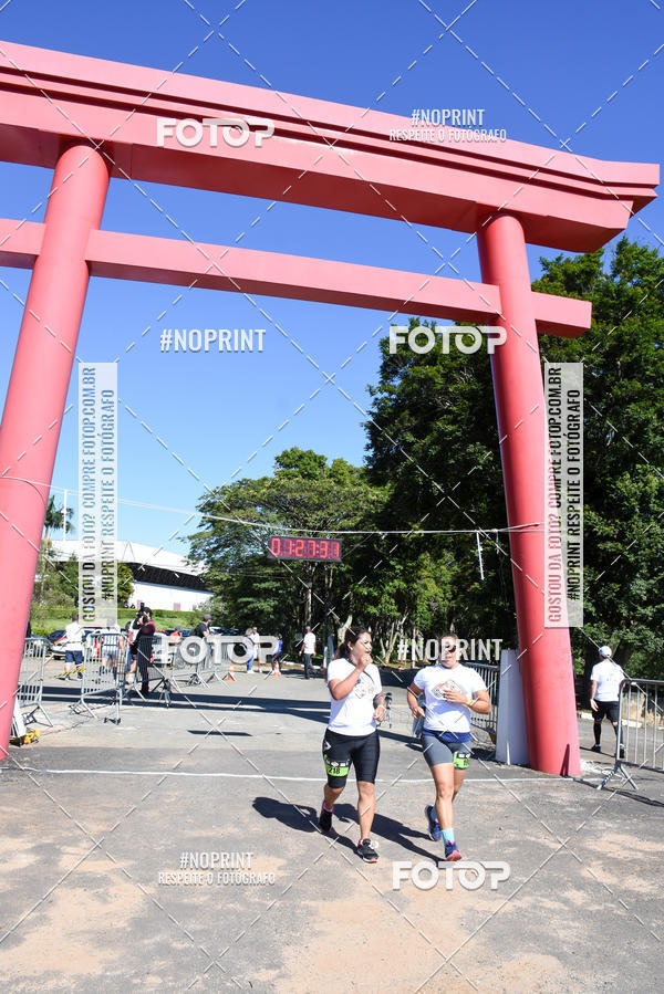 Buy your photos of the eventVibe Run on Fotop