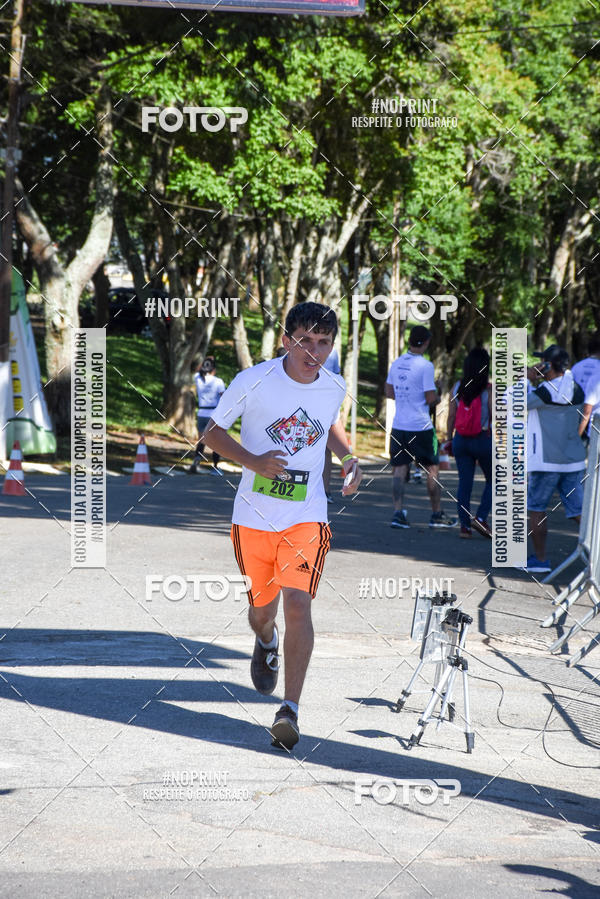 Buy your photos of the eventVibe Run on Fotop