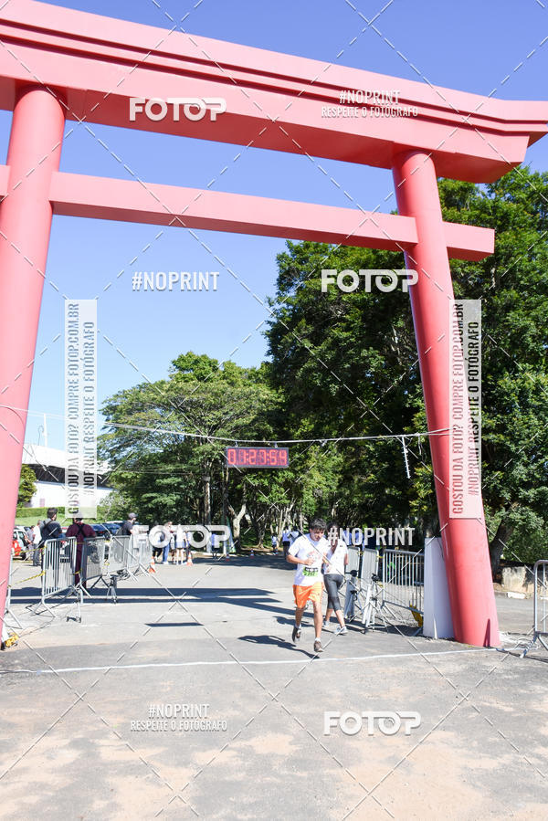 Buy your photos of the eventVibe Run on Fotop