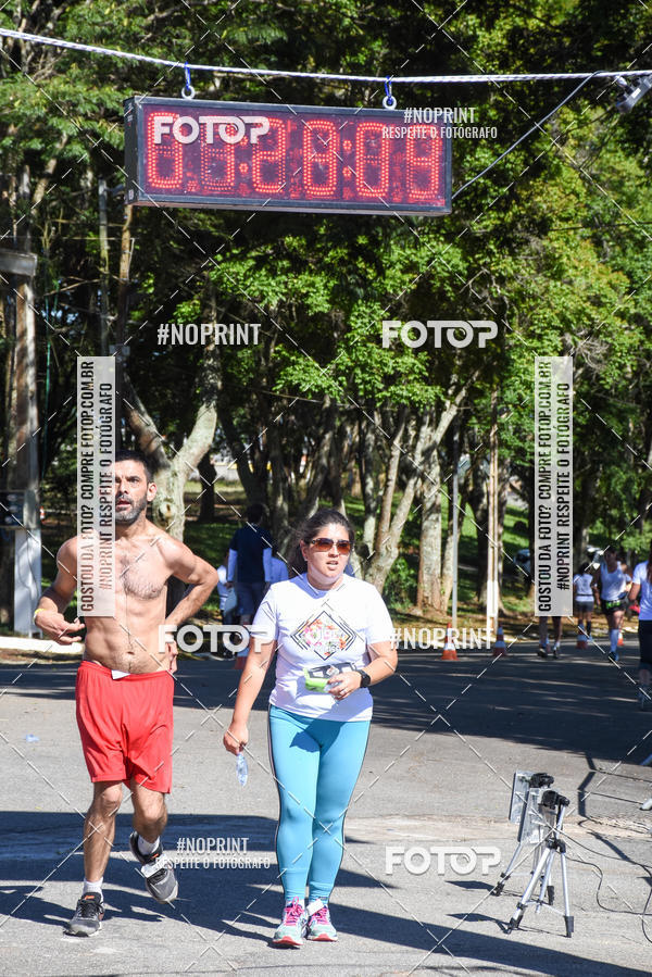 Buy your photos of the eventVibe Run on Fotop