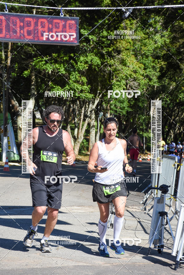 Buy your photos of the eventVibe Run on Fotop