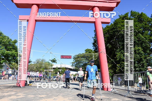 Buy your photos of the eventVibe Run on Fotop