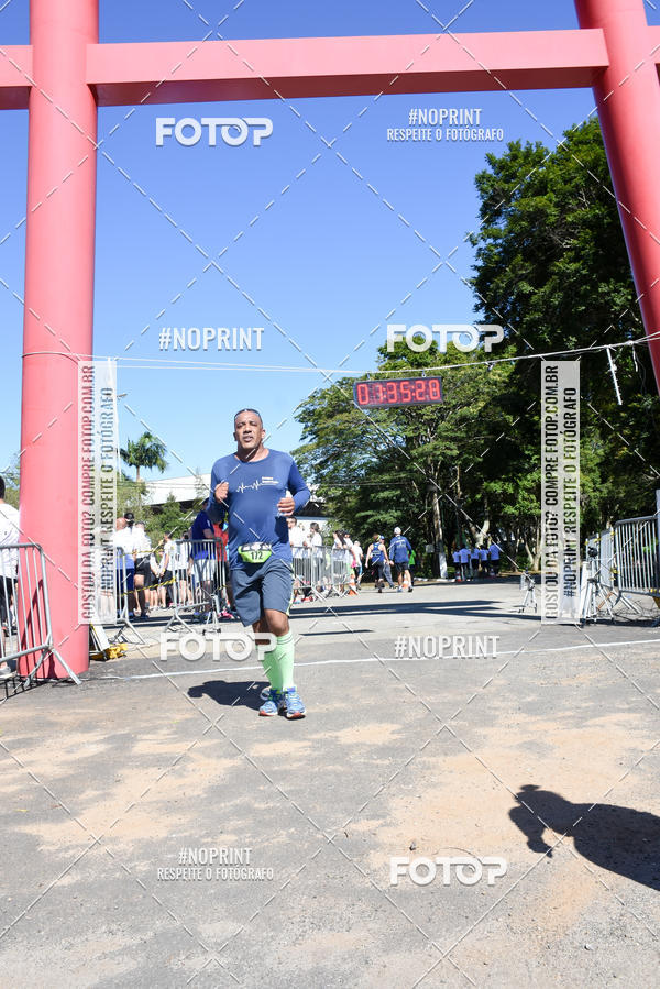 Buy your photos of the eventVibe Run on Fotop