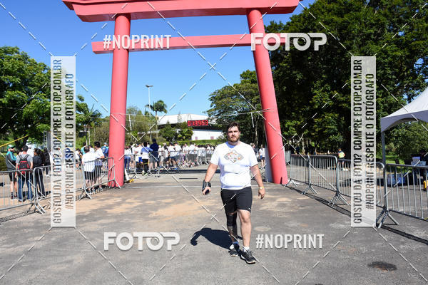 Buy your photos of the eventVibe Run on Fotop