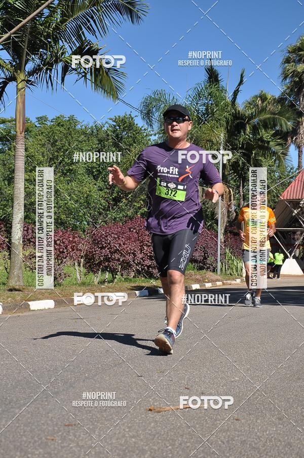 Buy your photos of the eventVibe Run on Fotop