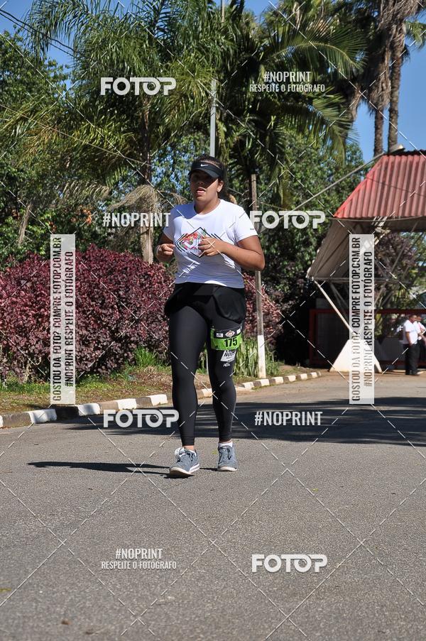 Buy your photos of the eventVibe Run on Fotop