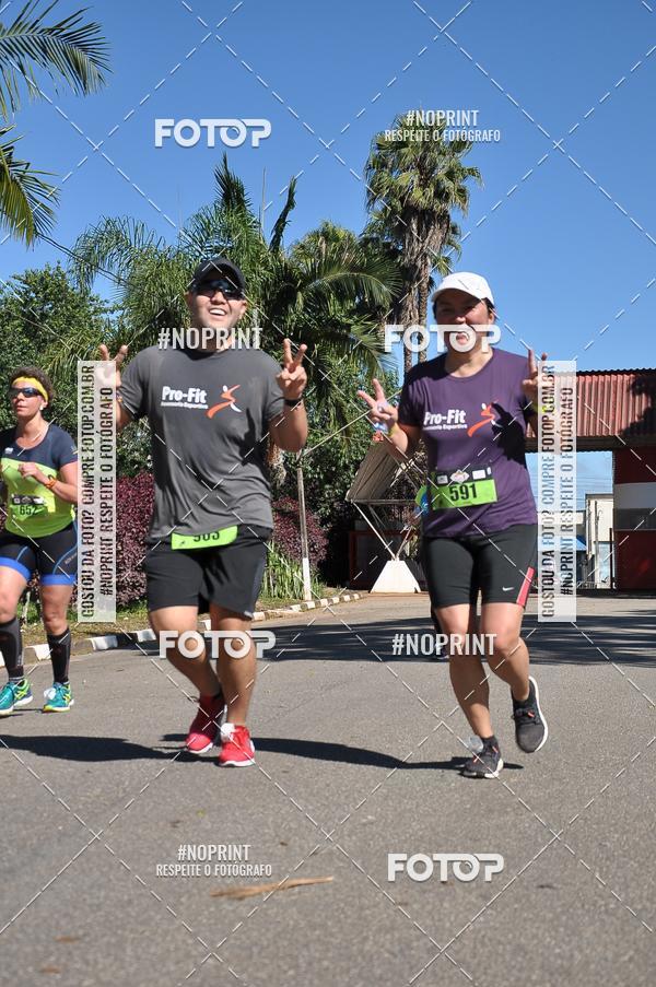 Buy your photos of the eventVibe Run on Fotop