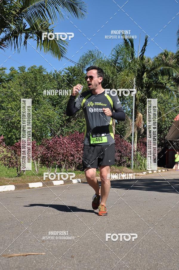 Buy your photos of the eventVibe Run on Fotop