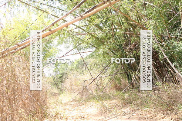 Buy your photos of the eventCampeonato Mineiro SENSE de Maratona - MTB on Fotop