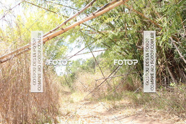 Buy your photos of the eventCampeonato Mineiro SENSE de Maratona - MTB on Fotop