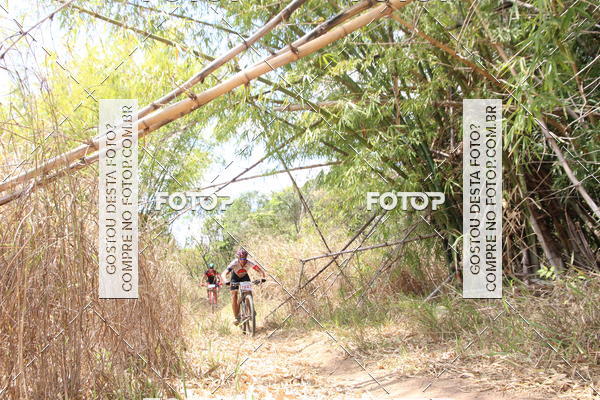 Buy your photos of the eventCampeonato Mineiro SENSE de Maratona - MTB on Fotop