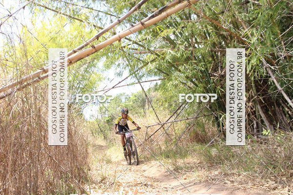 Buy your photos of the eventCampeonato Mineiro SENSE de Maratona - MTB on Fotop