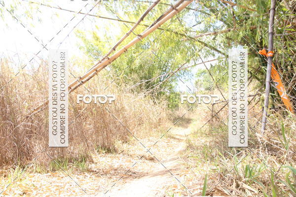 Buy your photos of the eventCampeonato Mineiro SENSE de Maratona - MTB on Fotop